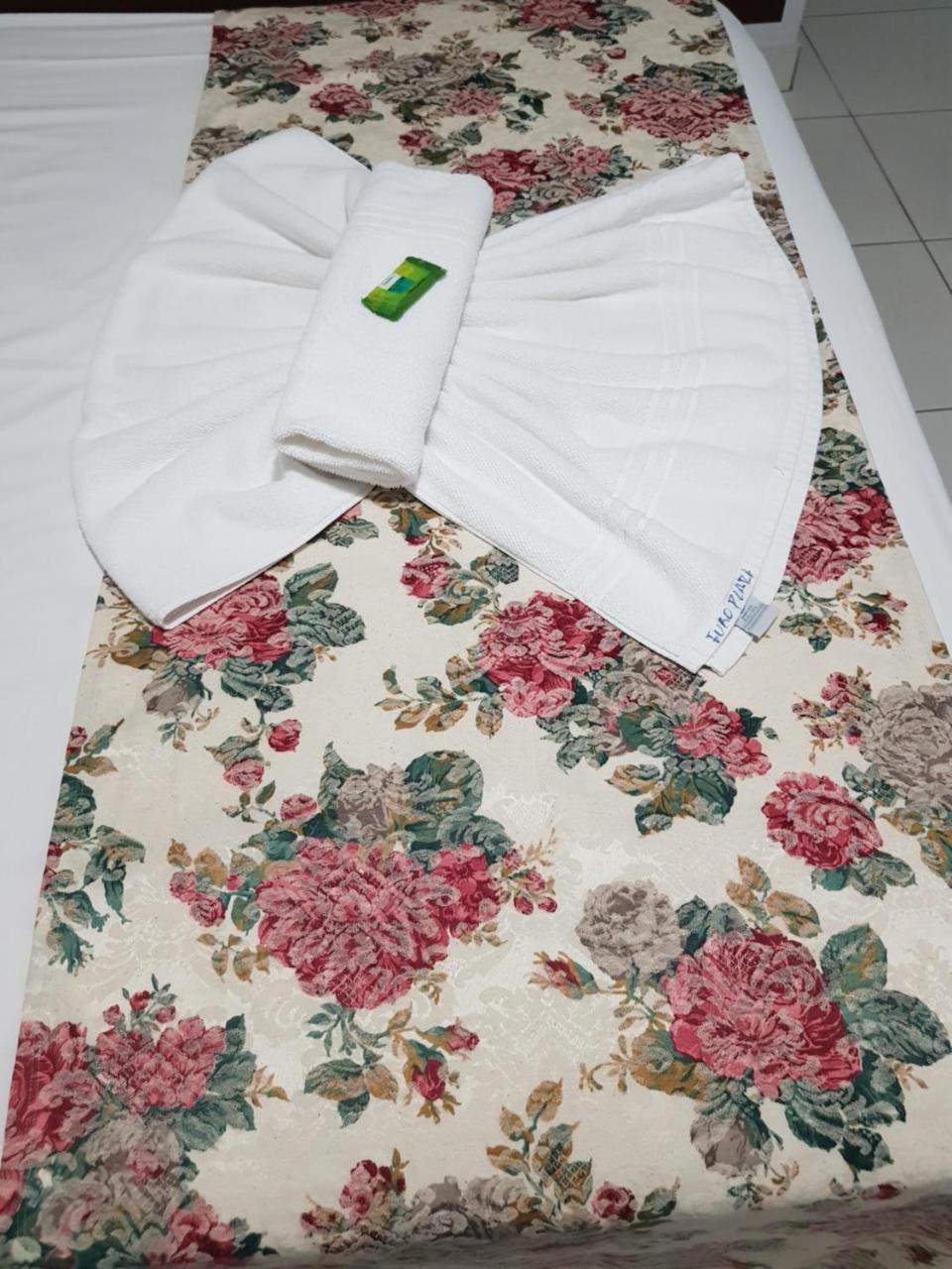 Euro Plaza Hotel - Próximo ao Aeroporto de Goiânia, Santa Genoveva Extérieur photo